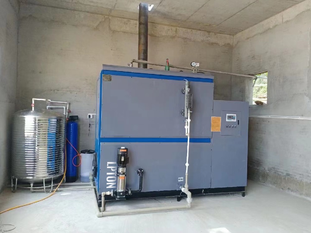 蒸汽加熱集裝罐效果翻倍，利浦頓燃?xì)庹羝l(fā)生器171℃高溫蒸汽B