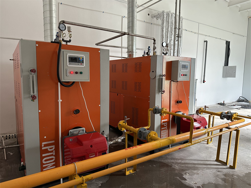 年產2000噸，看蒸汽發(fā)生器如何提升非油炸速食面生產效率