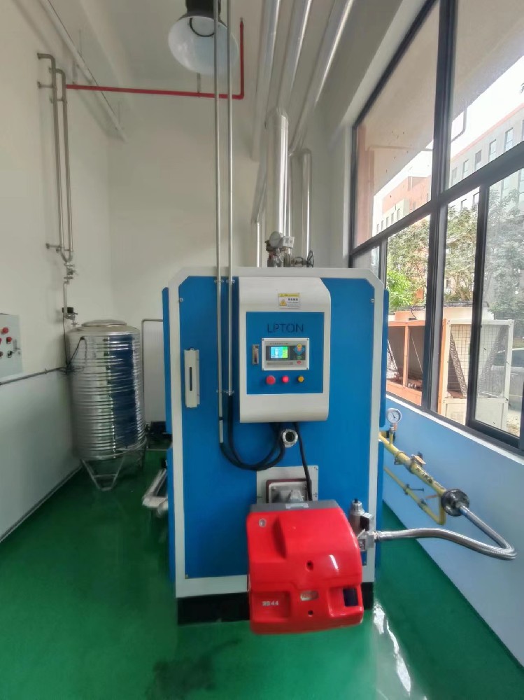 飼料加工用500公斤燃?xì)庹羝l(fā)生器高效應(yīng)用