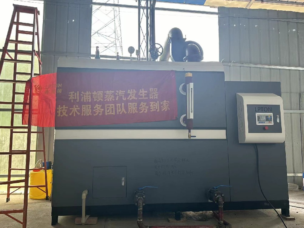 洗滌行業(yè)專(zhuān)用利浦頓1噸生物質(zhì)蒸汽發(fā)生器