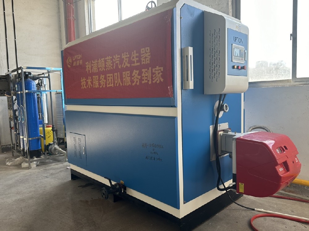 利浦頓0.5噸燃?xì)庹羝l(fā)生器用于配套反應(yīng)釜升溫