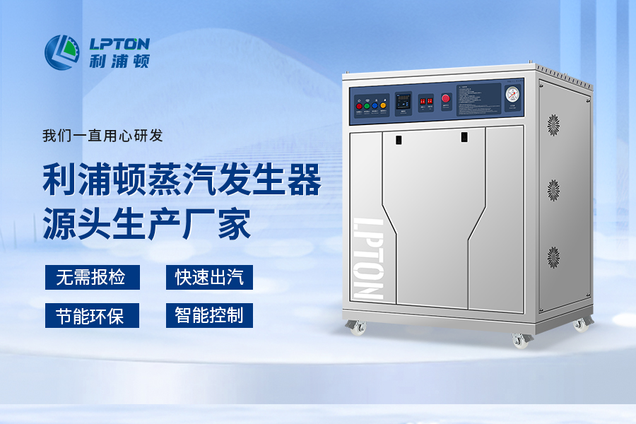 利浦頓高溫過熱蒸汽發(fā)生器在化工廠的應用