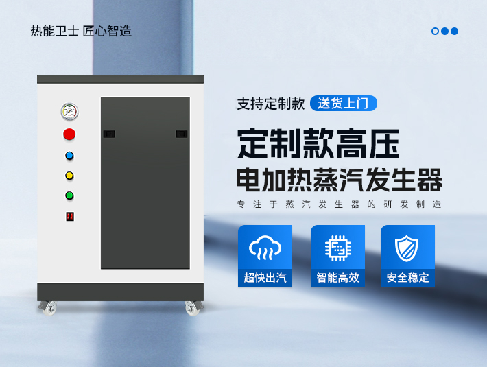 定制款高壓蒸汽發(fā)生器