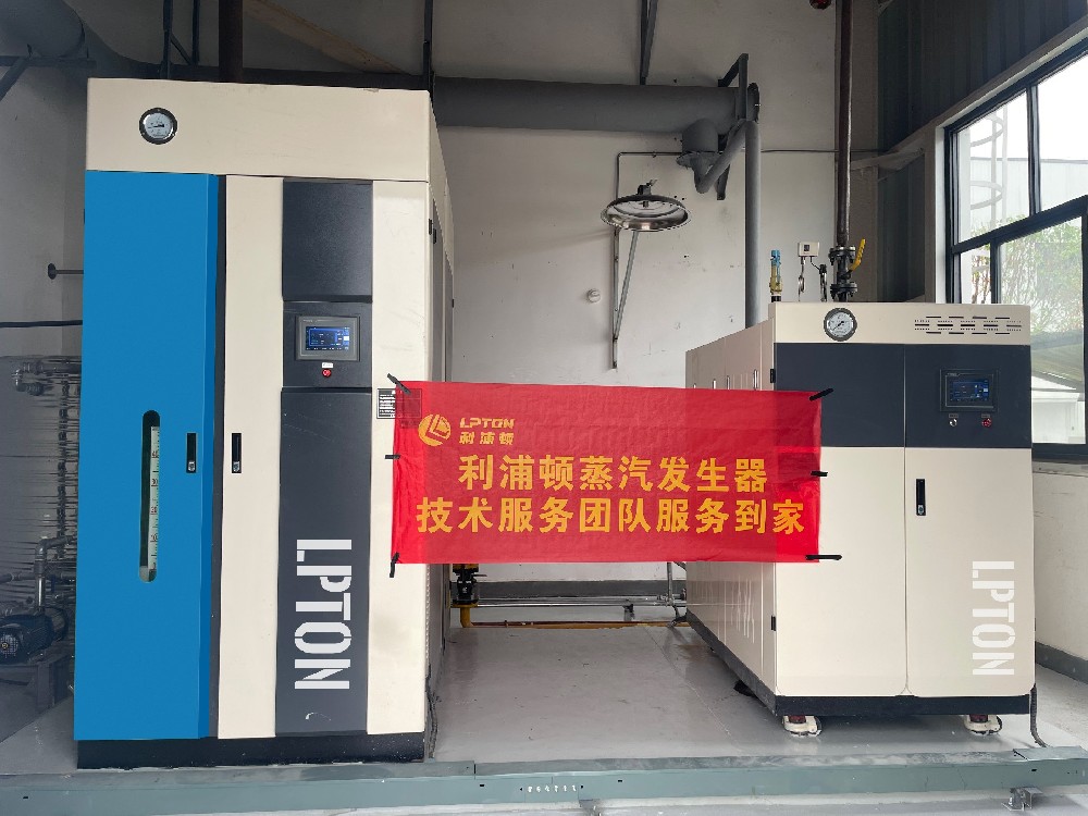 利浦頓全預(yù)混蒸汽發(fā)生器1噸+0.5噸用于蒸發(fā)結(jié)晶